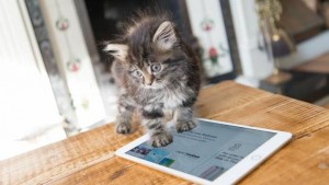 Tablet Apple iPad Mini 4 Review