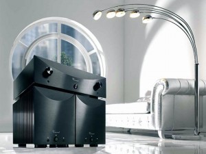 Symmetrical Mono Hybrid Music Amplifier Vincent SP-T800