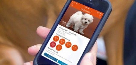 New electronic collar dog training from Fido