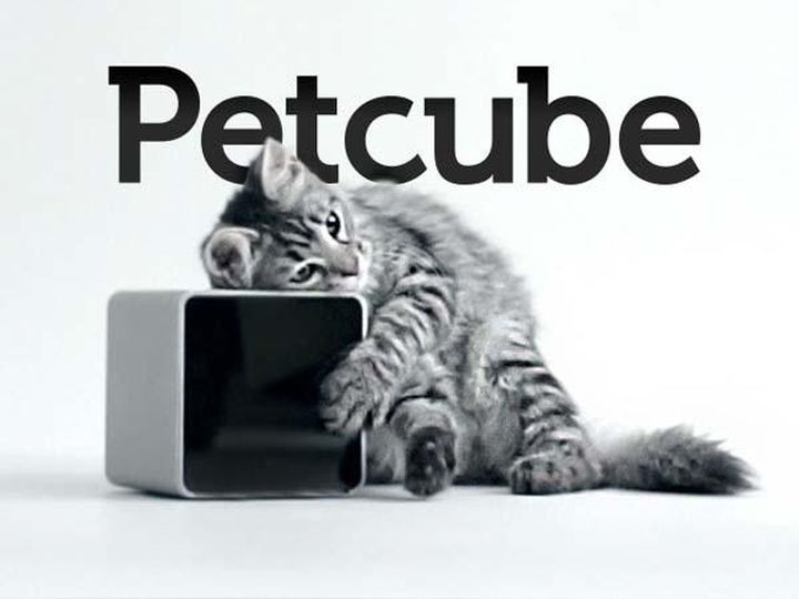 Review camera photography Petcube 